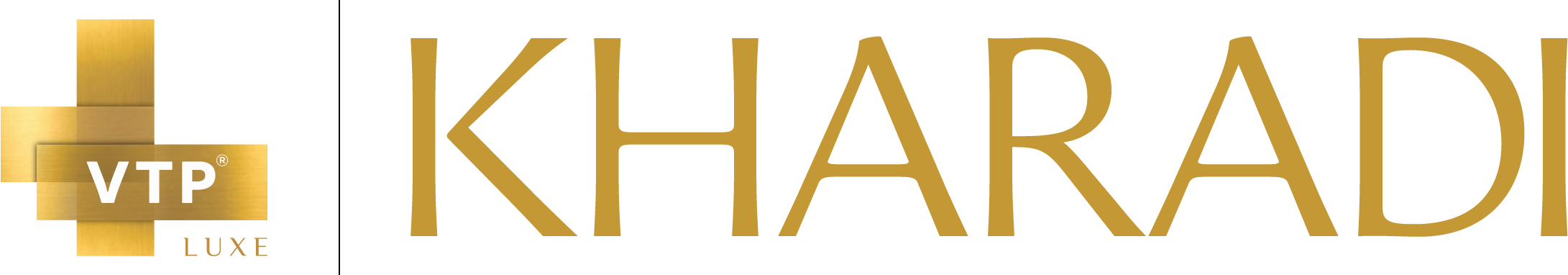 Project Logo